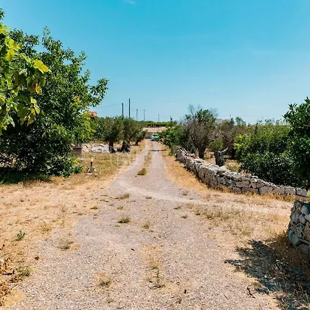 Il Trullo Del Conte * San Donato di Lecce